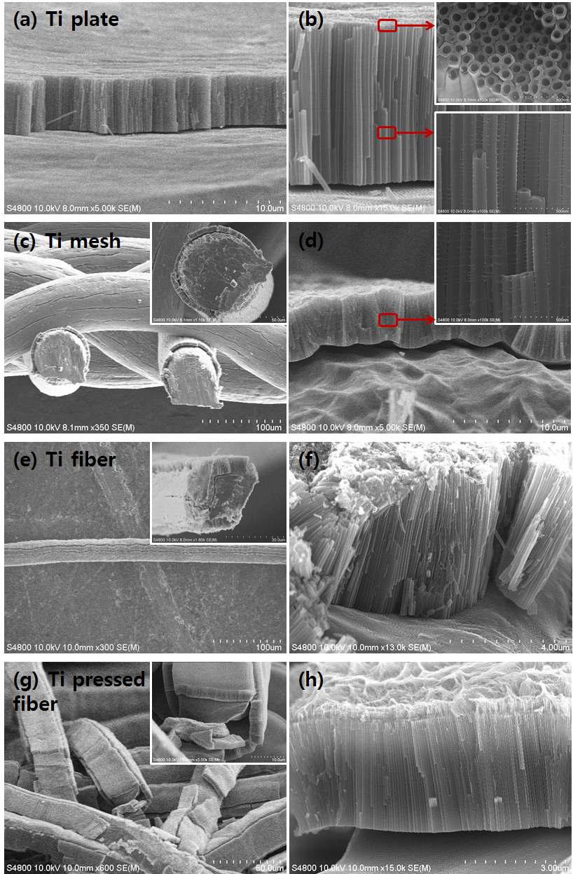 다양한 형태의 티타늄 금속 양극산화 후 FESEM 사진: (a), (b) plate; (c), (d) mesh; (e), (f) fiber; (c), (d) pressed fiber