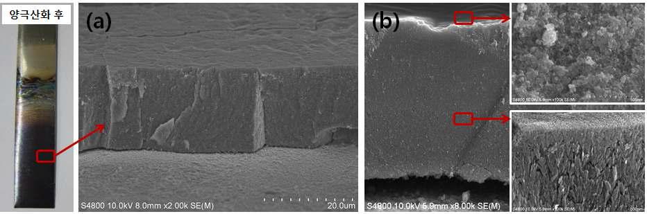 양극산화 공정으로 제조된 TiO₂ mesosponge 구조체