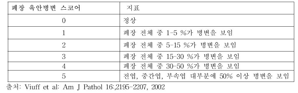 폐장 육안병변에 따른 스코어링 시스템