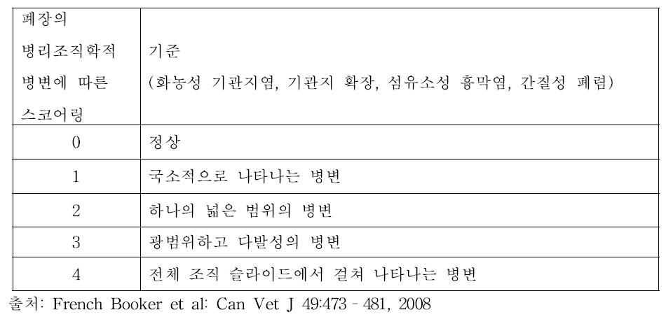 폐장 병리조직학적 병변에 따른 스코어링