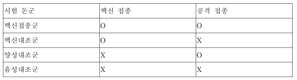 효과적인 시험 돈군 구성