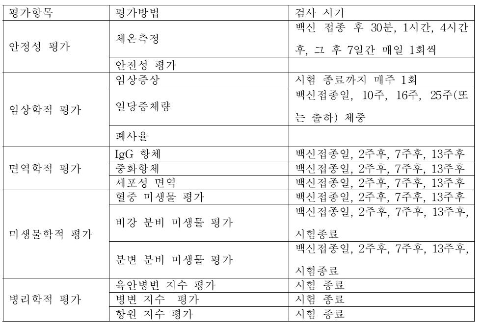 야외 임상 시험에서 백신 효능 평가 항목 및 검사 시기