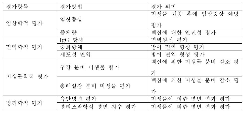 공격 접종에서 백신 효능 평가 항목 제시 예