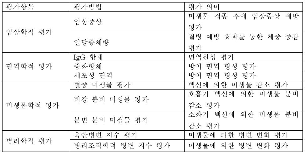 공격 접종에서 백신 효능 평가 항목 제시 예