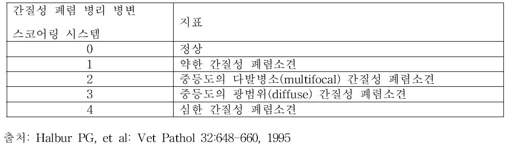 간질성 폐렴 병변 스코어링 시스템