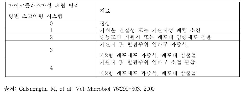 마이코플라즈마성 폐렴 병변 스코어링 시스템