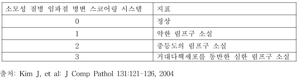 소모성 질병 임파절 병변 스코어링 시스템