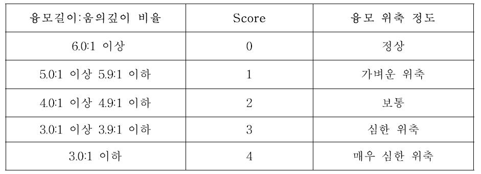 소모성 질병 임파절 병변 스코어링 시스템