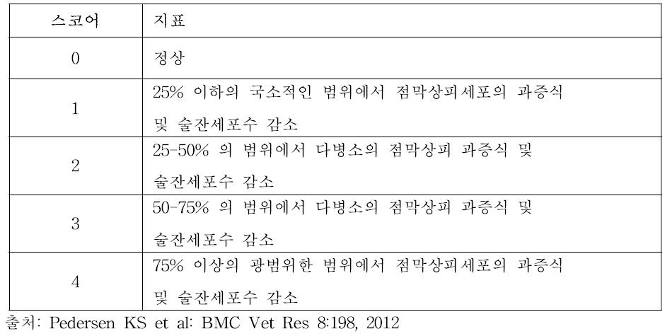 증식성 회장염 병변 스코어링 시스템