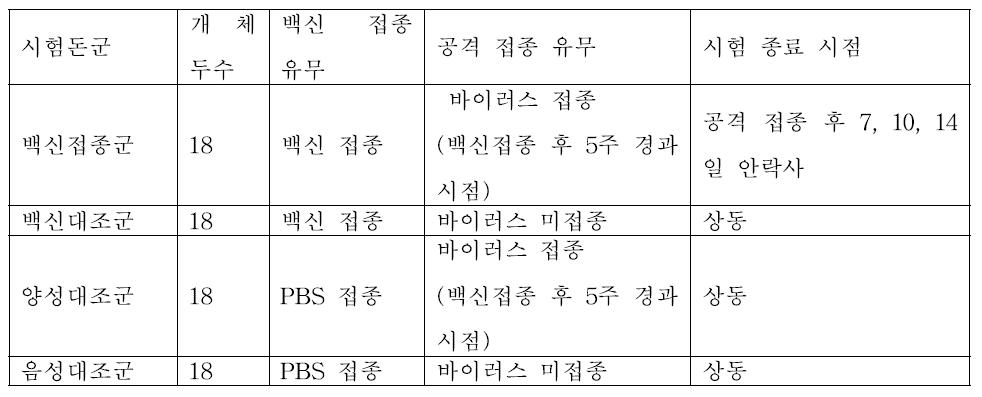 공격 접종 시험 디자인