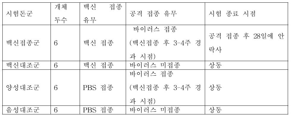 공격 접종 시험 디자인