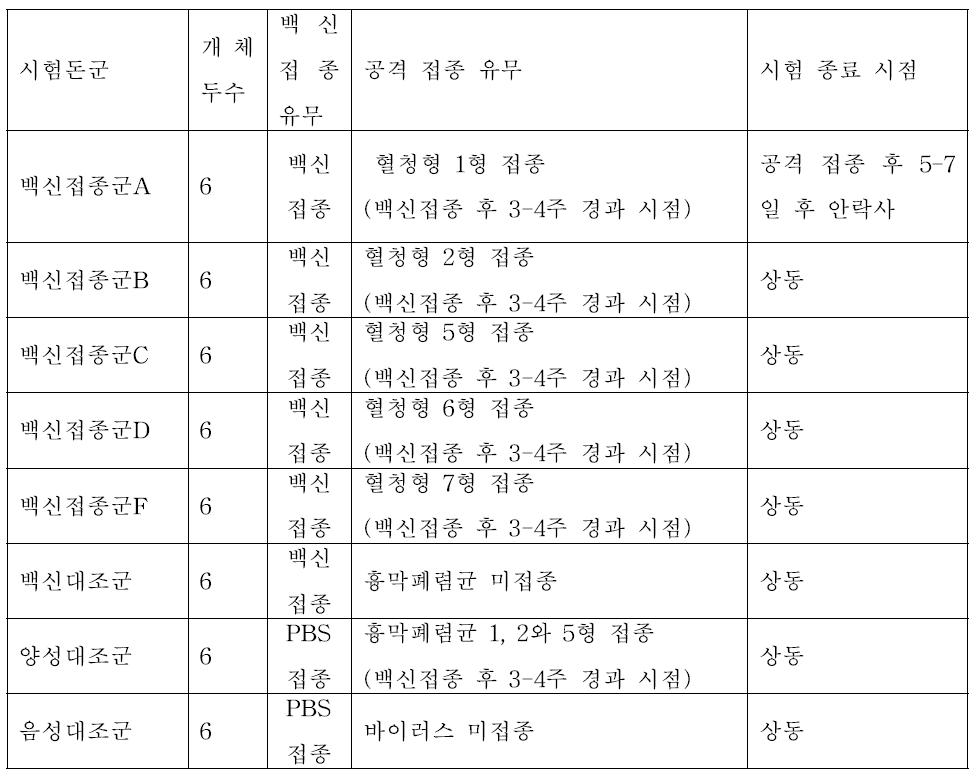 흉막폐렴균 톡소이드 예방 백신 공격 접종 시험 디자인