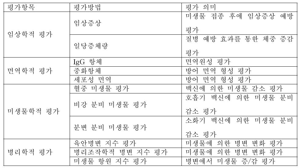 공격 접종시험에서 유전자 재조합 백신 효능 평가 항목