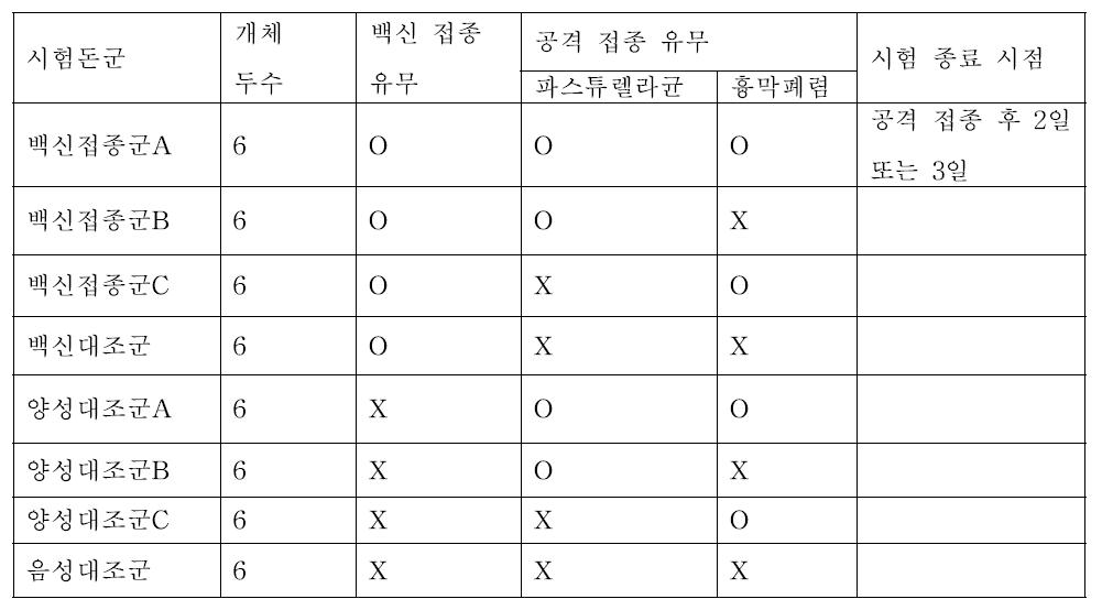 파스튜렐라균과 흉막폐렴균 혼합백신 공격 접종 시험 디자인