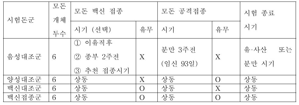 돼지 생식기 호흡기 증후군 예방 백신의 생식기 질환 시험 디자인