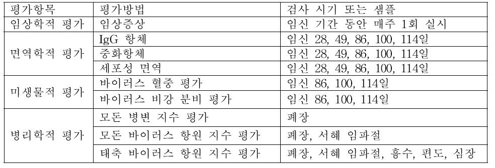 공격 접종 평가 항목