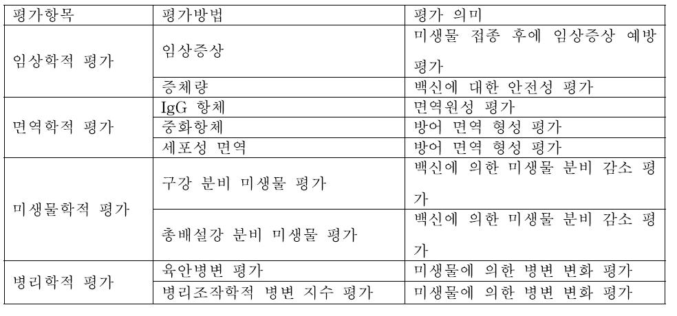 공격 접종에서 백신 효능 평가 항목 제시 예