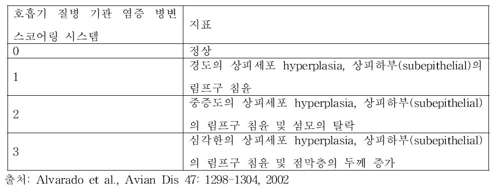 기관 염증 병변 스코어링 시스템