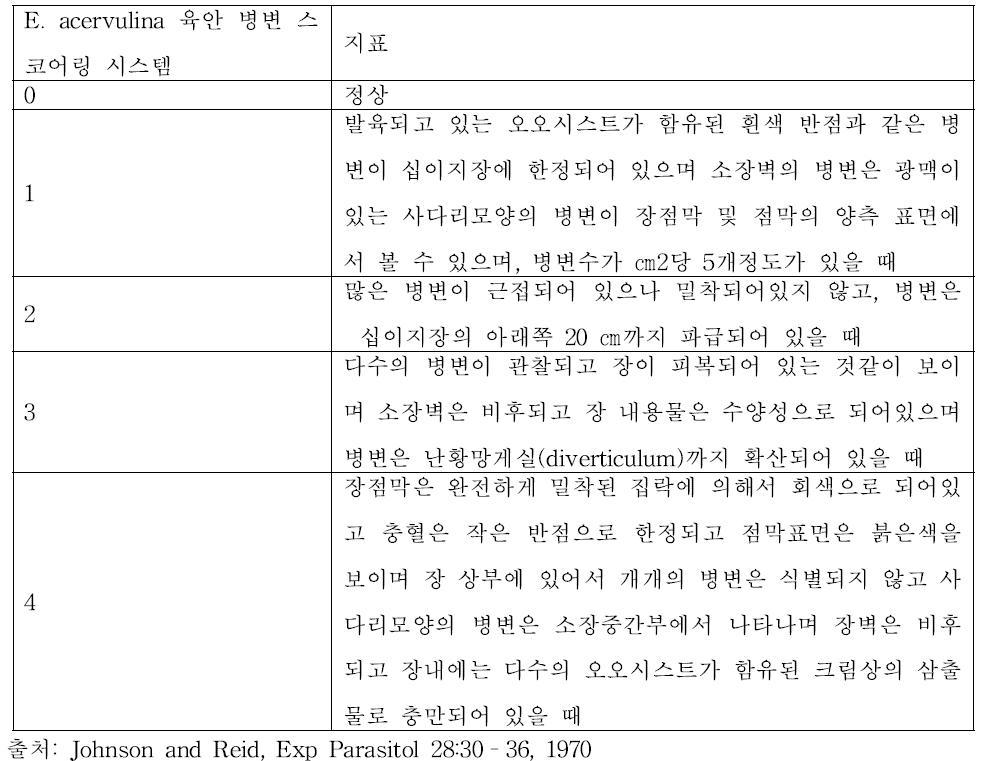 E . acervulina 콕시듐 감염증 장관 육안 병변 스코어링 시스템