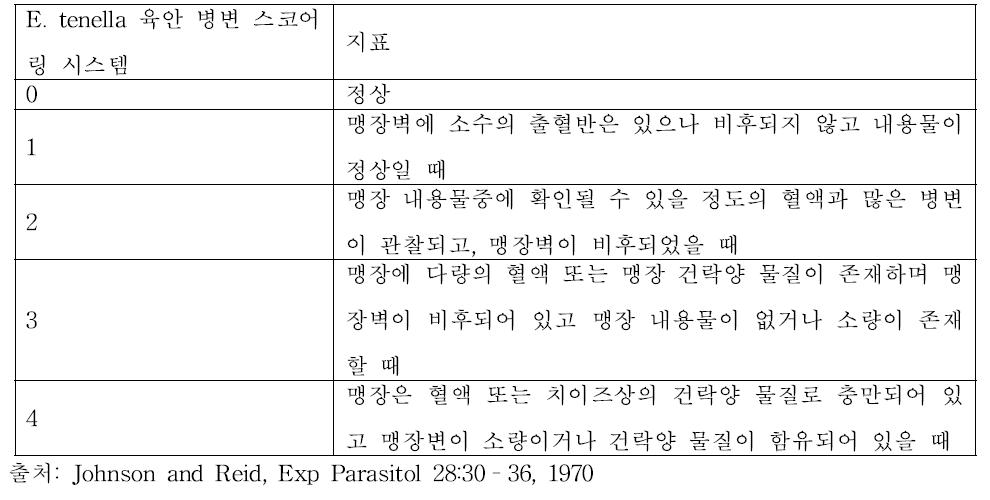 E . tenella 콕시듐 감염증 장관 육안 병변 스코어링 시스템