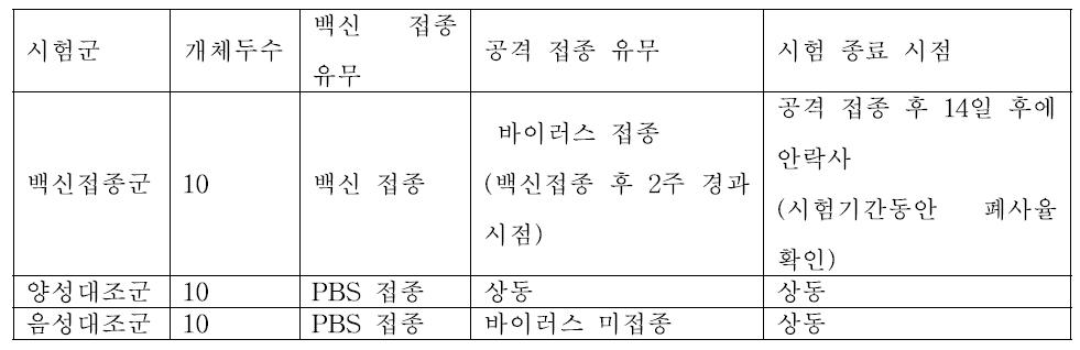 뉴캣슬병 공격 접종 시험 디자인