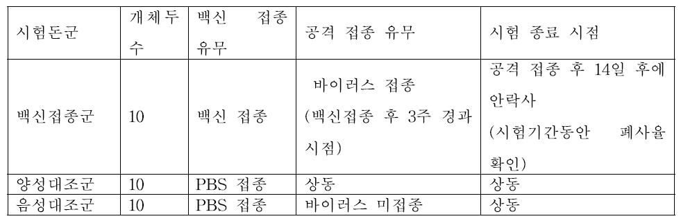 공격 접종 시험 디자인