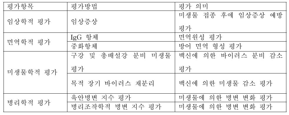 공격 접종시험에서 유전자 재조합 백신 효능 평가 항목