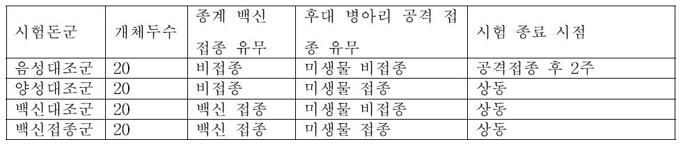 공격 접종용 시험군 구성