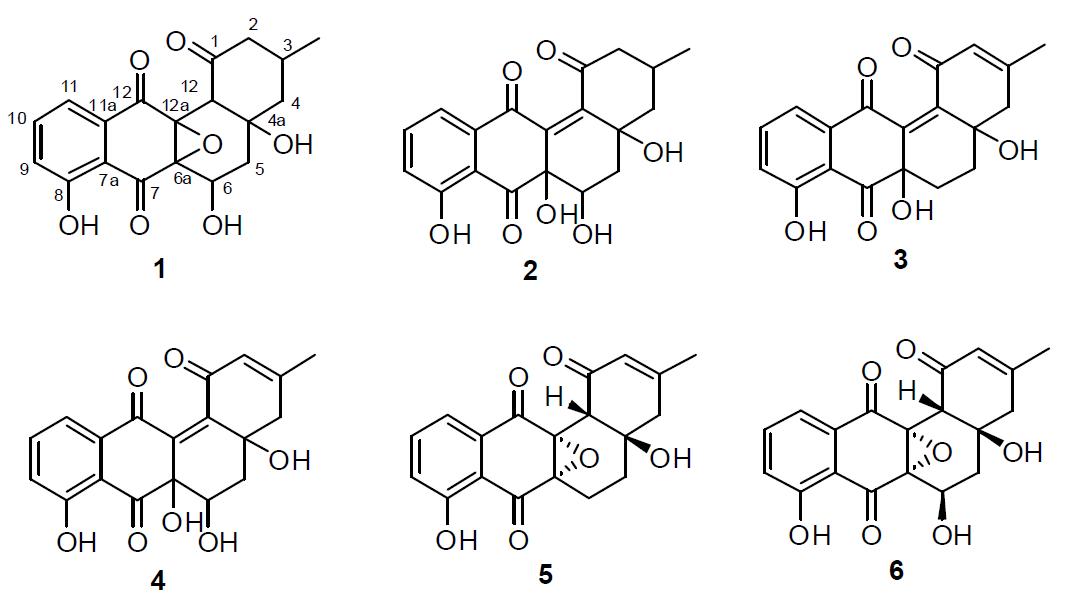방선균 KMC-004의 YM 배양액으로부터 분리된 신규화합물 1-6의 화학구조