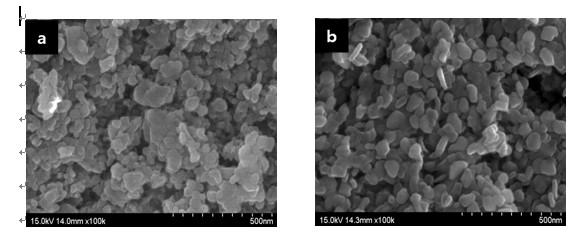 Mo/Al2O3,Mo/Zr/γ-Al2O3의 메탄화 반응 후 SEM 형상 : (a) Mo/γ-Al2O3(AM3, methanation: 400℃, 20 bar), (b) Mo/γ-Al2O3(AM3, methanation: 400℃, 30 bar), (c) Mo/Zr/γ-Al2O3(AMZ3, methanation: 400℃, 20 bar), (d) Mo/Zr/γ-Al2O3 (AMZ3, methanation: 400℃, 30 bar)