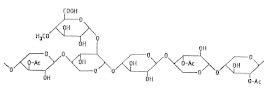 xylan의 전형적인 구조