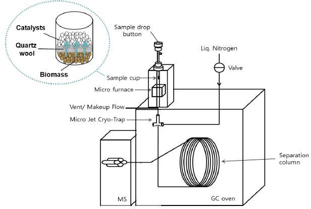Py-GC/MS 모식도