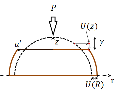 Schematic of a soft elastic half sphere pressed largely between two flat rigid surfaces