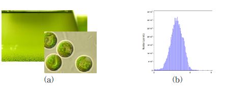(a) Chlorella vulgaris and (b) average cell size