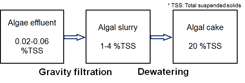 Water removal processes of algal suspensions