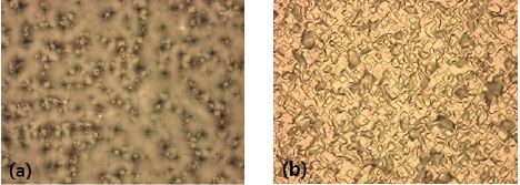 알칼리용액을 통한 표면조직화 후 후면의 OM 이미지 (a)양면 표면조직화 후면(x500), (b) 절연막 제거 후 단면 표면조직화 후면(x500).