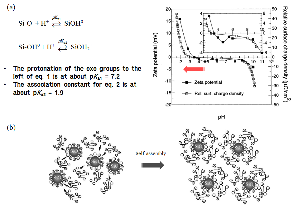 (a) ζ-potenial and relative surface charge density of silica vs pH of aqueous phase (adjusted using HCl and KOH) (Pettersson and Rosenholm, Langmuir, 2003), (b) Schematic illustration for the synthesis of Nafion-stabilized SiO2 nanoparticles by the self-assembly (Tang and Pan, 2008)