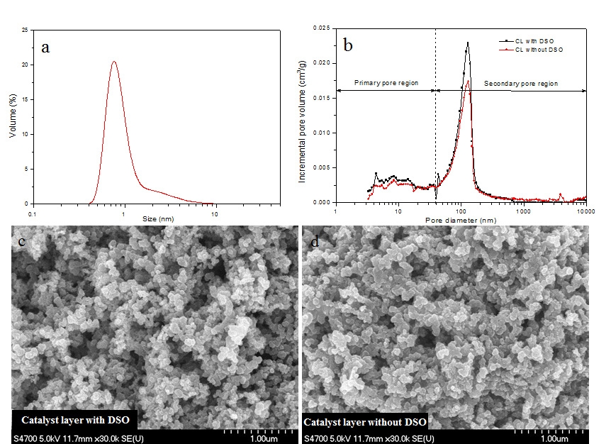 (a) Particle size distribution of SPES ionomer dissolved in a mixture of 2-propanol and deionized water; (b) Pore size distributions of catalyst layers based on SPES ionomer with respect to the addition of dimethyl silicone oil. SEM images of catalyst layers based on SPES ionomer with (c) and without DSO (d).