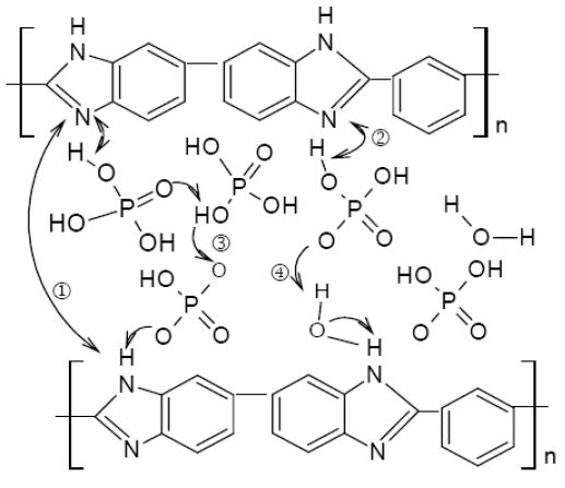 인산이 도핑된 폴리벤지이미다졸 내에서의 수소이온 전도 기작