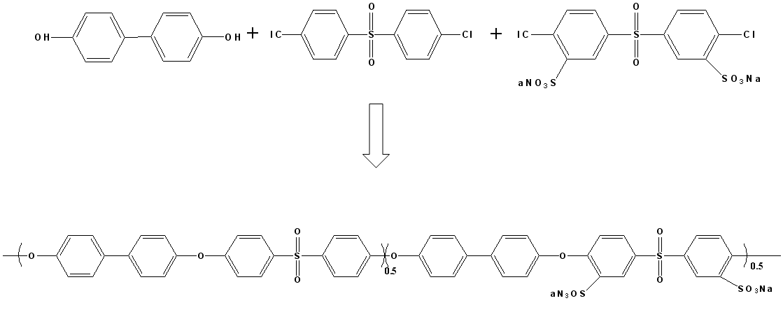 Schematic representation of the preparation of SPAES