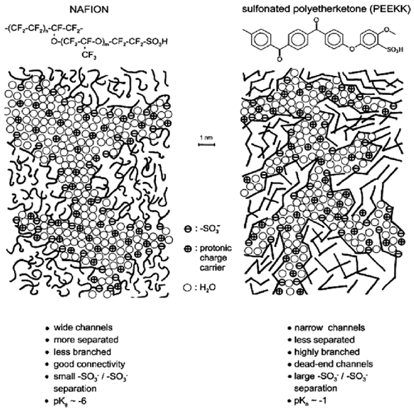 수화한 (a) 나피온 및 (b) 술폰화 폴리아릴에테르케톤 고분자의 형태학적 구조.