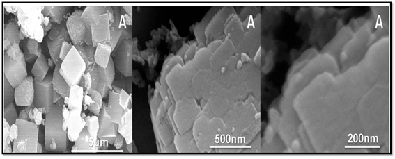 PEI-A의 Scanning Electronic Microscope image