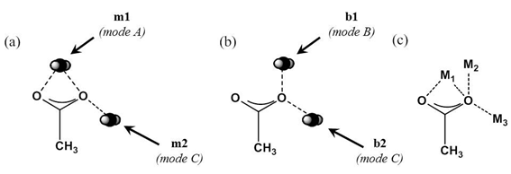 acetate와 CO2간의 interaction 예상 위치 (a) MP2 (b) B3LYP (c) acetate와 metal의 일반적인 binding site