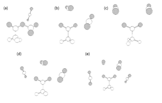 [nCO2?MeCO2]- 예상구조 계산 결과. (a), (b), (c); [2CO2?MeCO2]-, (d) ; [3CO2?MeCO2]-, (e) ; [4CO2?MeCO2]-