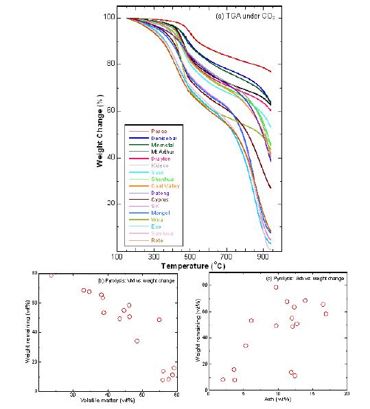 [그림 3-4] CO2 분위기에서 17종 석탄의 TGA 분석.