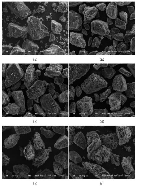 [그림 2-95] Roto south coal chars SEM 이미지