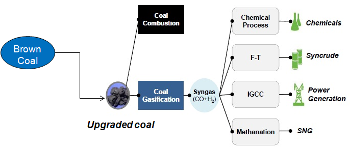 [그림 1-1] 최근 이슈가 되고 있는 저등급 석탄의 활용기술