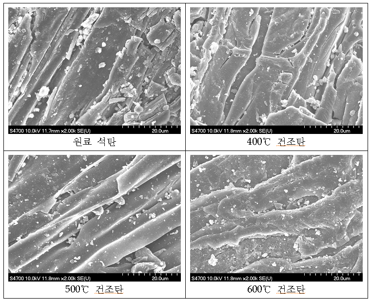 [그림 2-21] 원료 석탄 및 건조탄의 SEM 분석결과