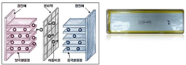 리튬이차전지 모식도 및 특성평가 제품