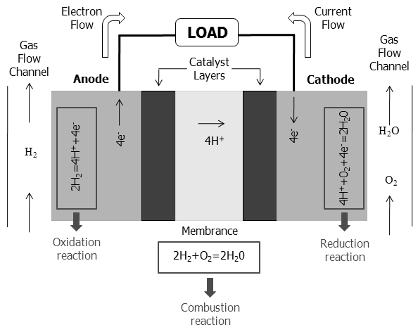 PEMFC의 동작 원리